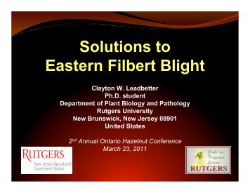 Solutions to Eastern Filbert Blight