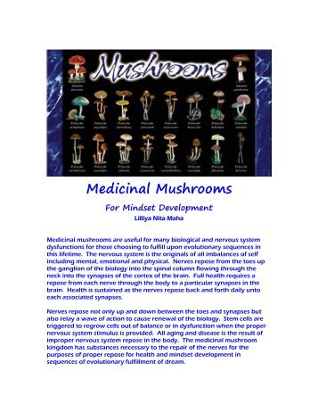 Medicinal Mushrooms