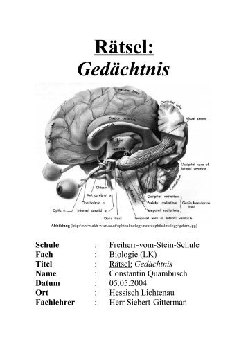 Rätsel: Gedächtnis - Freiherr-vom-Stein-Schule