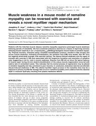 Muscle weakness in a mouse model of nemaline myopathy can be ...