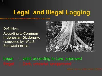 Legal and Illegal Logging