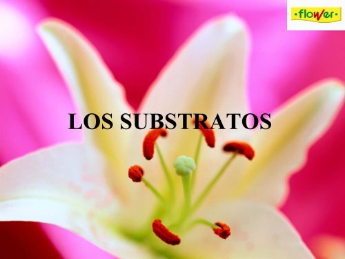 LOS SUBSTRATOS