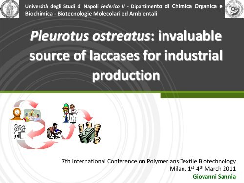 Pleurotus ostreatus invaluable source of laccases for industrial production