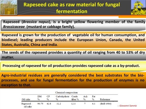 Pleurotus ostreatus invaluable source of laccases for industrial production