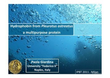 Hydrophobin from Pleurotus ostreatus a multipurpose protein