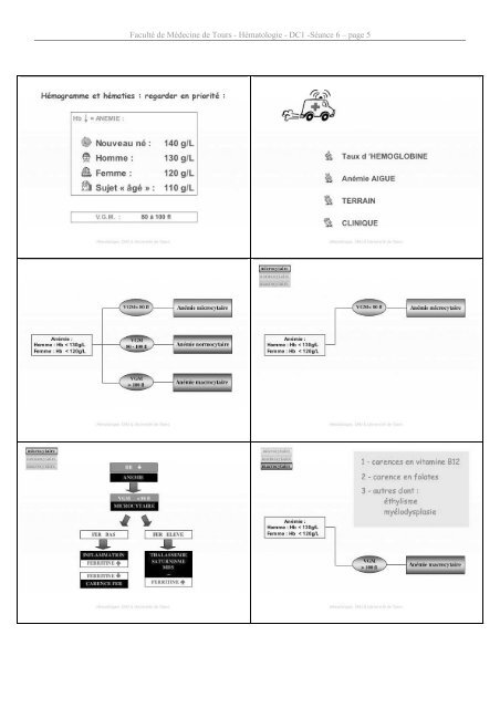 Faculté de Médecine de Tours - Hématologie - DC1 -Séance 6 – page 1