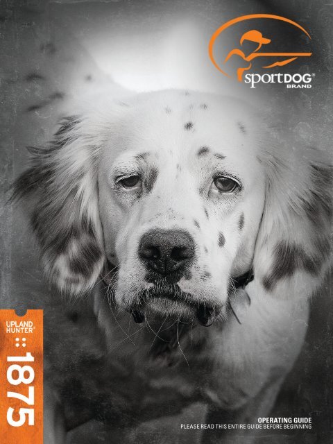 sportdog instructions
