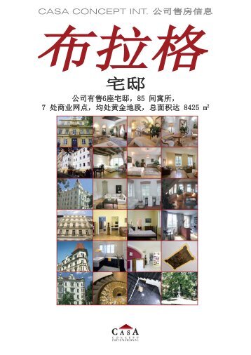 chinese-issue.pdf