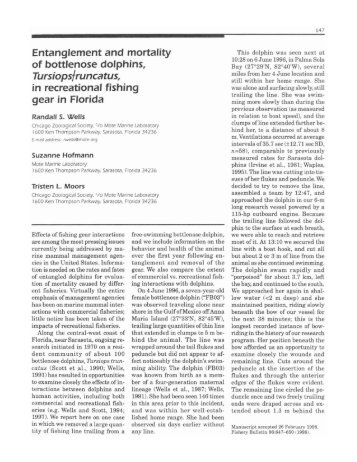 Entanglement and mortality of bottlenose dolphins in recreational ...