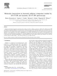 Molecular interactions in bacterial cellulose composites studied by ...