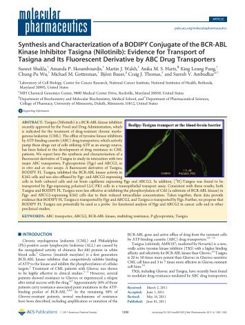 Supporting Information - Bauer Hartz Blood-Brain Barrier Group