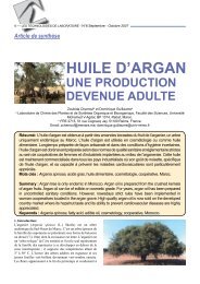 HUILE D’ARGAN