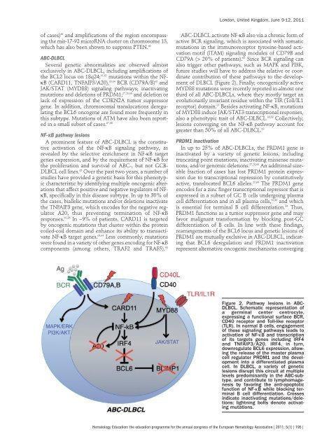 H e m a t o lo g y E d u c a t io n - European Hematology Association