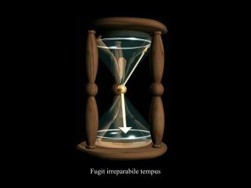 Fugit irreparabile tempus