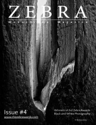 The Zebra Magazine Issue #4