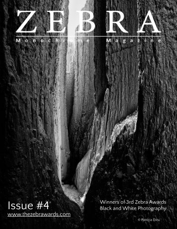 The Zebra Magazine Issue #4