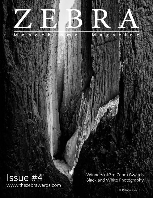 The Zebra Magazine Issue #4