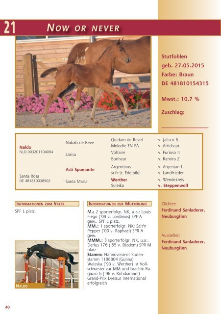 Auktionskatalog Last Chance Biblis 2015