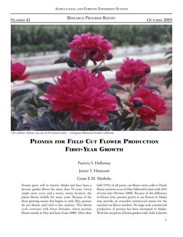 PEONIES FIELD CUT FLOWER PRODUCTION FIRST-YEAR GROWTH