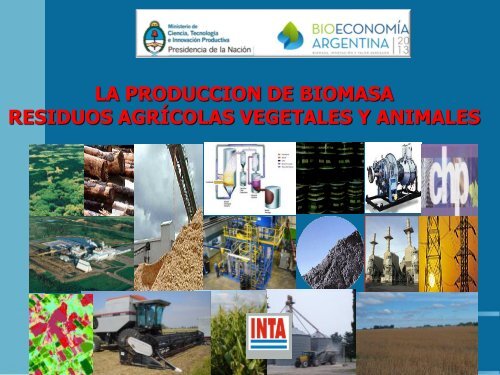 LA PRODUCCION DE BIOMASA RESIDUOS AGRÍCOLAS VEGETALES Y ANIMALES