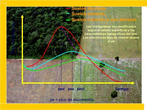 LA PRODUCCION DE BIOMASA RESIDUOS AGRÍCOLAS VEGETALES Y ANIMALES