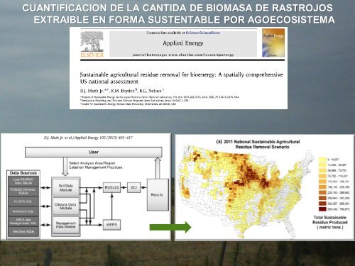 LA PRODUCCION DE BIOMASA RESIDUOS AGRÍCOLAS VEGETALES Y ANIMALES