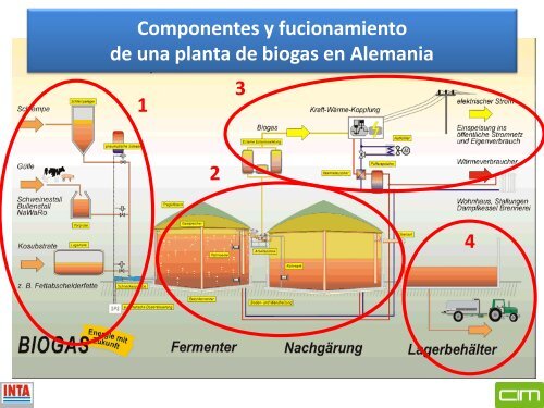 LA PRODUCCION DE BIOMASA RESIDUOS AGRÍCOLAS VEGETALES Y ANIMALES