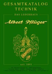 Technology - Albert Pflüger