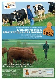 L’identification électronique des bovins