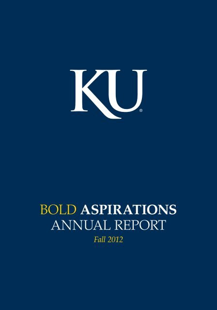 Bold Aspirations, Year 1 Annual Report