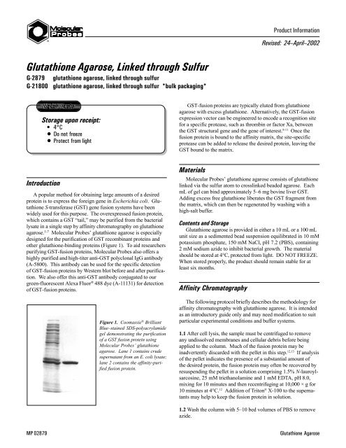 glutathione agarose 4b Glutathione Tablets for Skin Glow & Brightening main image 1