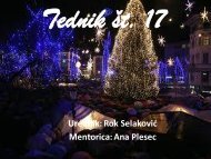 Tednik št 17