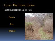 Invasive Plant Control Options - Rhode Island Land and Water ...