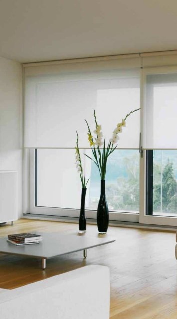 Silent Gliss Roller Blind and Dim-Out Systems