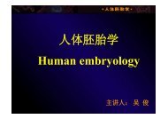 人 体 胚 胎 学 Human embryology