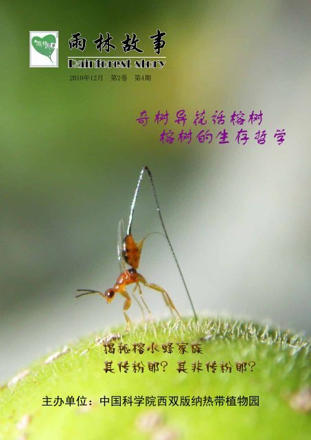 雨林故事