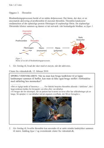 Opgave 3. Thrombin SPÃRG VIDENSKABEN: NÃ¥r nu man kan ...