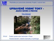 UPRAVENÉ VODNÍ TOKY -