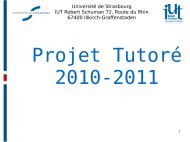 Projet Tutoré 2010-2011