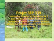 Projet SEP 339