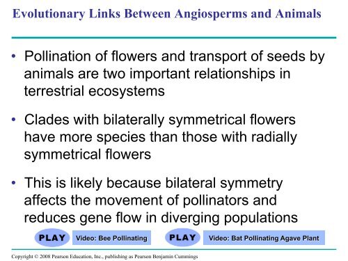 What human reproductive organ is functionally similar to this seed?