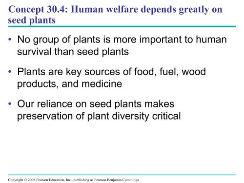 What human reproductive organ is functionally similar to this seed?