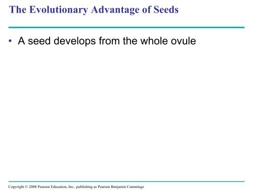 What human reproductive organ is functionally similar to this seed?