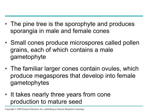 What human reproductive organ is functionally similar to this seed?