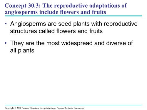 What human reproductive organ is functionally similar to this seed?