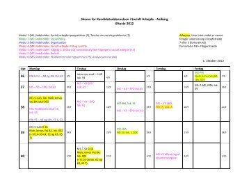 Skema for Kandidatuddannelsen i Socialt Arbejde - Aalborg Efterår ...