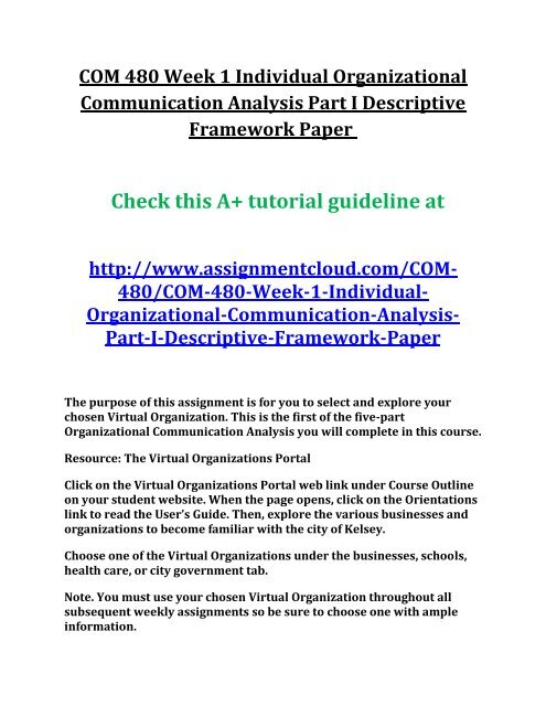 COM 480 Week 1 Individual Organizational Communication Analysis Part I Descriptive Framework Paper 