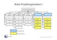 Reine Projektorganisation I