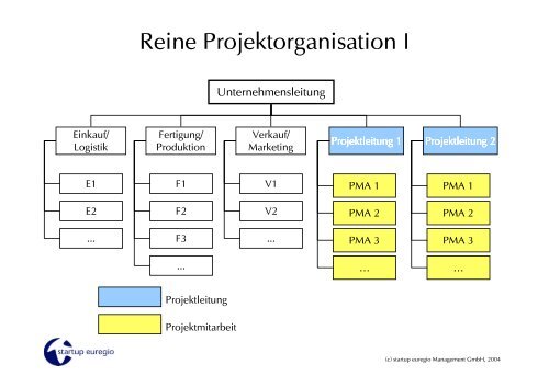 Reine Projektorganisation I