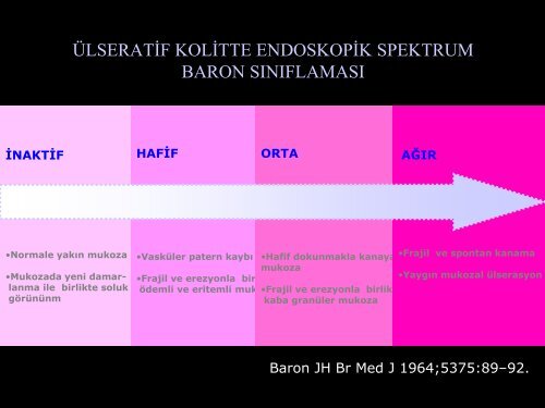 İBH ve tedavisi - Prof. Dr. Sadettin Hülagü